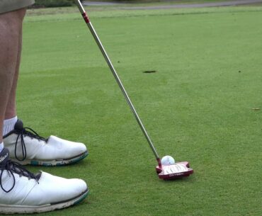 Oleander Putter