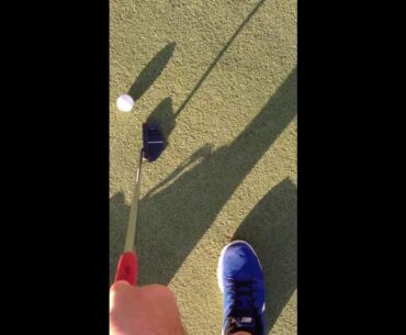 One handed birdie putt with Piretti Fine Putters Teramo 365g mallet head model