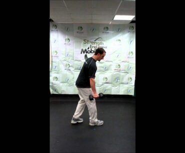 Lunge Stance Rows.wmv