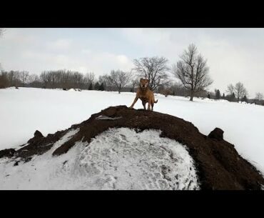 Winter Golf Course Building