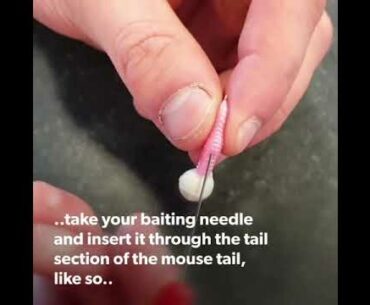 Fishing With Mice Tails