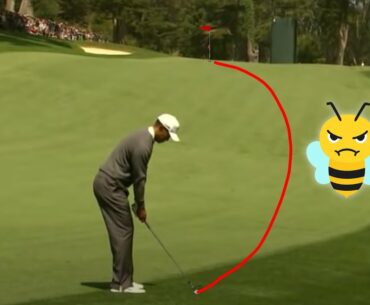 Tiger Woods STINGER 2012 US Open