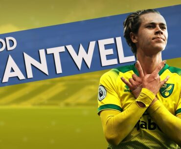 Is Todd Cantwell Ready to Return to EPL?