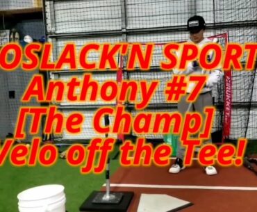 Velo Testing: Off The Tee Before Hitting Live Off The Bata2 1/31/2021