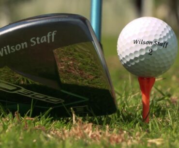 Wilson Staff D300 Driver
