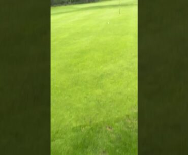 Patterdale terrier Facts they love Golf balls #Patterdale #terrier