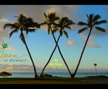 2Man Round @ Waialae Championship Tees Uneekor Eye XO GSPro