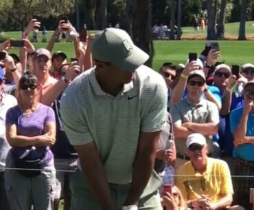 Have you ever been this close to Tiger Woods? | Golf Rabble