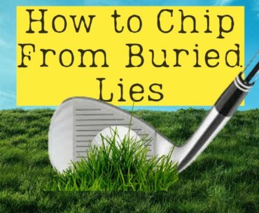 Playing from a buried lie around the green