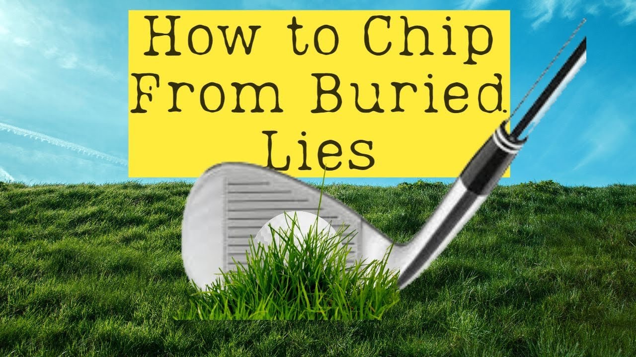 Playing from a buried lie around the green Playing from a buried lie around the green