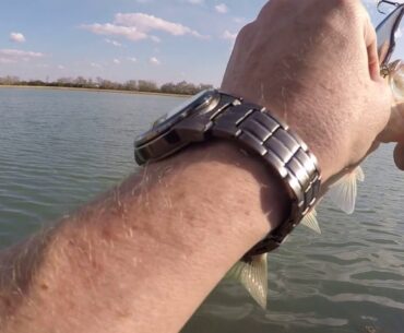 Winter Bass Fishing in Texas