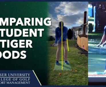 Comparison between Student and Tiger Woods