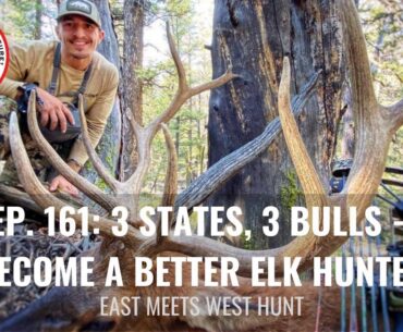 Ep. 161: 3 States, 3 Bulls - Become a Better Elk Hunter with Dan Staton // Elk Shape
