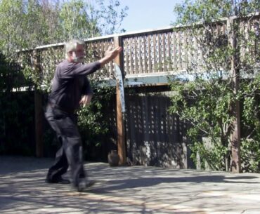 From Basics to Mastery: Jibengong, and the Bear Palm Gong in Bagua Zhang