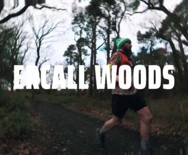 Three Woods
