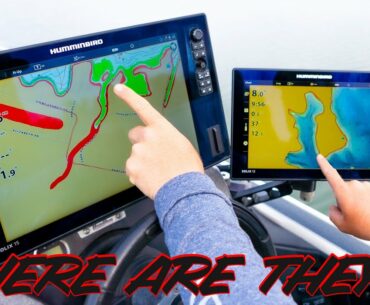 Where Do Bass Go In Spring? (And How To Catch Them In The Prespawn)