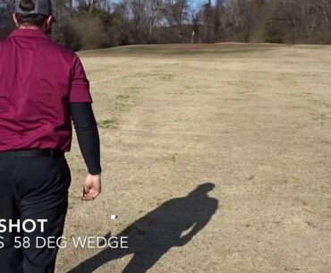 The Favorite Tee Box