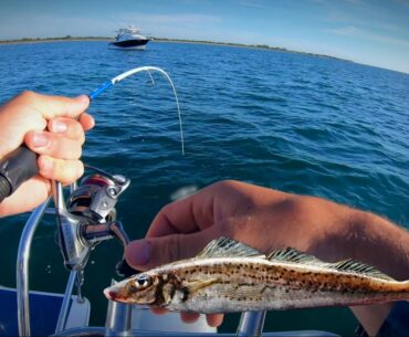 Whiting Fishing to Surf Fishing!