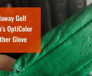 Callaway Golf Men's OptiColor Leather Glove