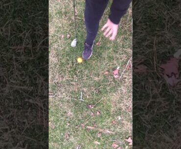 Pick up golf balls easily and nicely
