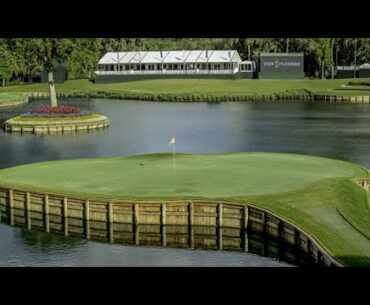 Eddie Pepperell CLUTCH 50FT PUTT at the 17th to tie for the lead!! (2019 Players Championship)