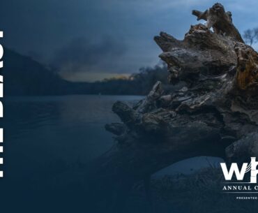 Battle with the bEast