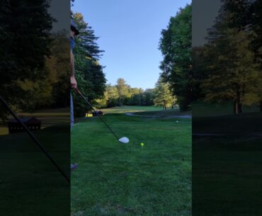 Short Par 4- Would You Use Iron Or Driver Off The Tee- Read The Description!