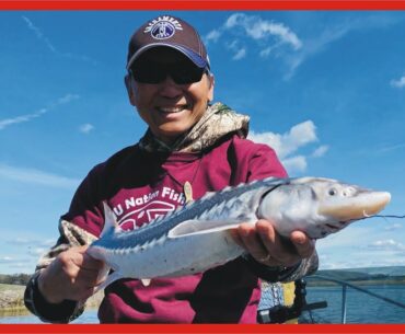 Sturgeon Fishing in Suisun Slough, CA: 8th Trip in 2021, Sturgeon Broke 80 lbs. test line!!!