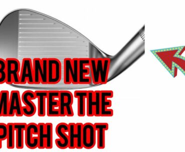 BRAND NEW APPROACH TO PITCHING