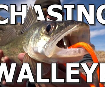 CHASING WALLEYE
