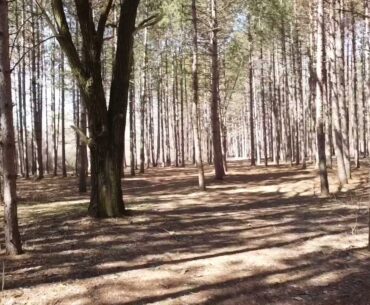 Deerfield 16 Long Tee Flyup Left Side Route | Disc Golf