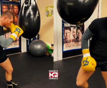 Canelo Alvarez Slippin' N Sliddin' vs The H2O Bag, Canelo Best Movement In Boxing
