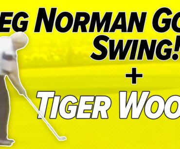 GREG NORMAN Golf Swing! - The Shark vs Tiger Woods! - The Man!