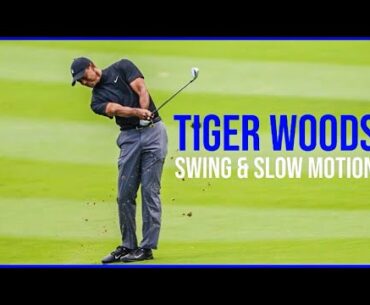 Tiger Woods Swing From ZOZO Championship 2020 (Slow Motion)