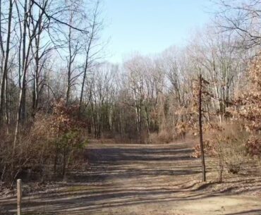 Deerfield 9 Long Tee Flyup | Disc Golf