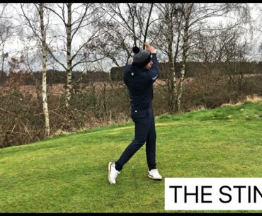 THE TIGER STINGER