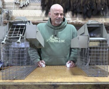 Trapping Inc Tech Tip First look at Non Grip Muskrat traps