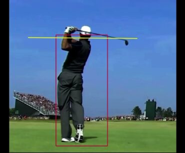 Tiger Woods Body Box
