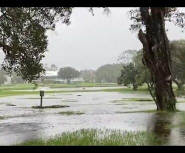WGC Update Friday 26th March