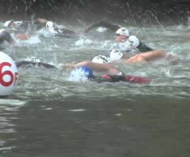 Triathlon Swim Success Program