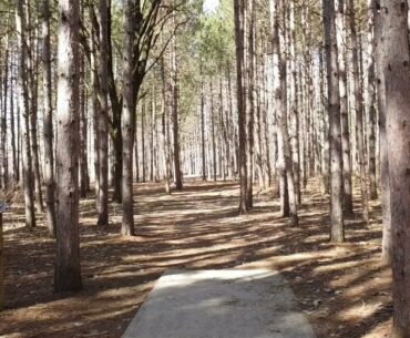 Deerfield 16 Long Tee Flyup | Disc Golf