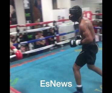 Devin Haney POWER PUNCHES in sparring - esnews