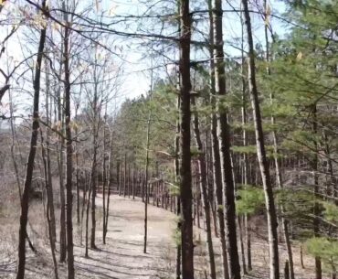 Deerfield 11 Long Tee Flyup | Disc Golf