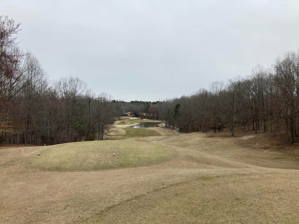 Hole 15 at Chateau Elan (Woodlands)