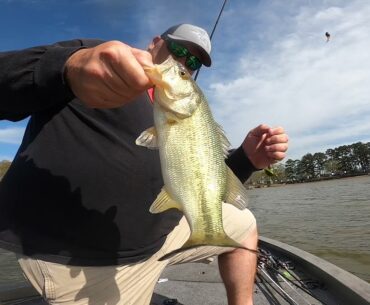 Logan martin bass fishing late March