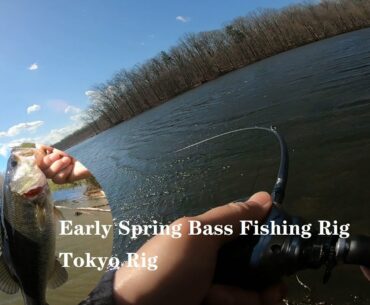 Early Spring Bass Fishing Rig: Tokyo Rig