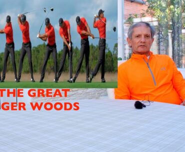 Top Ten Pro Comparisons: Visual Analysis of Tiger Woods Golf Swing