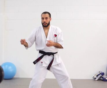 KARATE - Catene muscolari e forza nei pugni |  Seminario WKMO