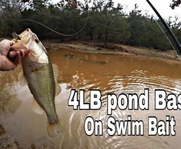 Pond Bass Fishing 4LB Bass In Muddy Water