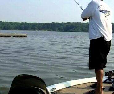 Buzzbait Boogie !!